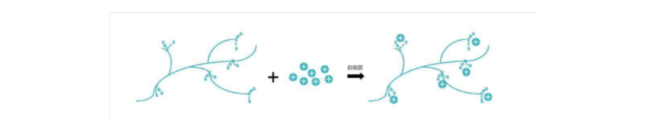 1716446961531237.png 圖片7.png