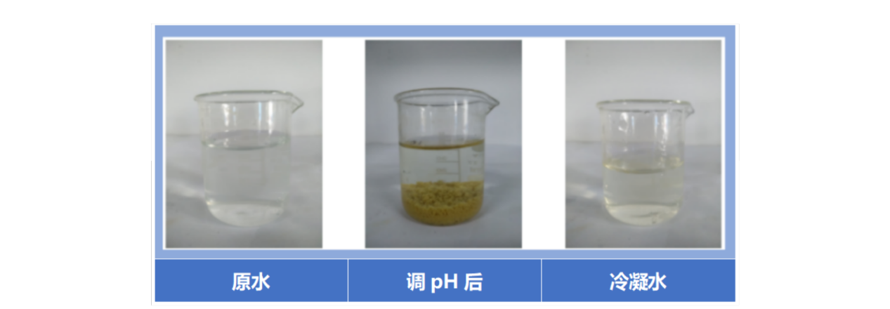 1716519512294572.png 1716519512294572.png