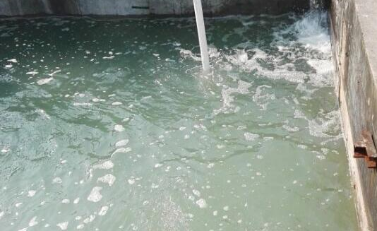 1716882777201033.png image.png