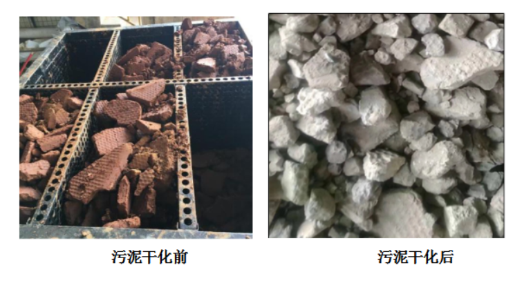 污泥低溫干化設(shè)備,蒸發(fā)減量80%以上 污泥低溫干化設(shè)備,蒸發(fā)減量80%以上