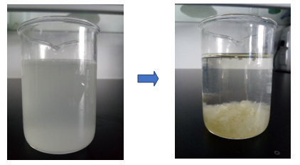 含油廢水測(cè)試報(bào)告